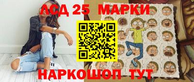 гидропоника Бердск
