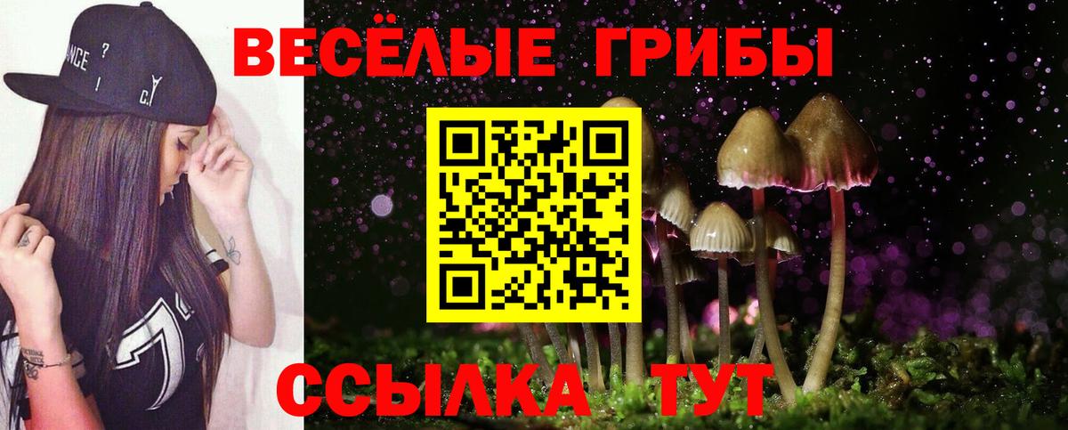 Псилоцибиновые грибы Psilocybe Нефтекумск