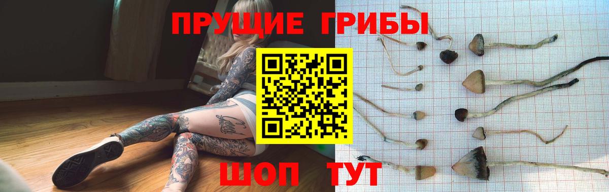 Галлюциногенные грибы прущие грибы  Вход с VPN  Нефтекумск 